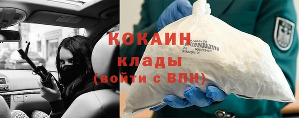 прущие грибы Верея
