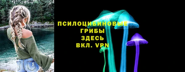 прущие грибы Верея