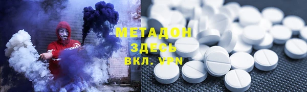 прущие грибы Верея