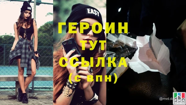 прущие грибы Верея