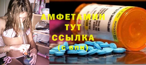 прущие грибы Верея
