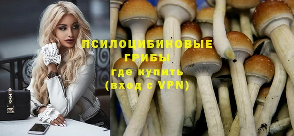 прущие грибы Верея