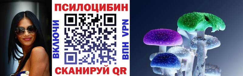 Купить где  Дедовск  Псилоцибиновые грибы мицелий 